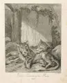 Johann Elias Ridinger, Sieben Tierdarstellungen, 1738-1740, Radierungen auf Bütten. "Bartichte Meerkatze"