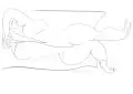Werner Schellenberg, 14 Frauenakte 2003-2007, 2007, Lithografien
