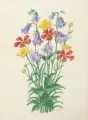 Hans Clar, Fünf Blumendarstellungen. Wohl 1920er-1930er Jahre by Hans (Johann) Clar, Aquarelle über Tusche auf chamoisfarbenem Papier, offered Mar 2019