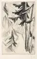 Heinrich Nauen, Tannenwald, 1922/1923, Radierung mit leichtem Plattenton auf Bütten