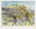Dagmar Ranft-Schinke, Seltsame Vögel, Kolorierte Radierung, Farbradierung und Radierung auf Bütten