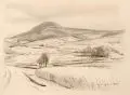 Anna Elisabeth Angermann, Hügelige Landschaft (Erzgebirge ?), 1951, Pinselzeichnung in braunschwarzer Tusche auf festem Velin