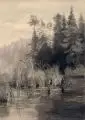 Elisabeth von Cotta, Waldstück mit Reihern in Tharandt. Wohl 1. H. 20. Jh, Kohlestiftzeichnung auf festem Papier