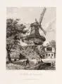 Bernhard Mannfeld, Die Mühle von Sanssouci, Eine Radierung auf Bütten