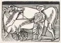 Gerhard Marcks, Ochsenknecht