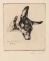 Mein Hund Boy by Richard Müller, 1915, Radierung, offered Mar 2018