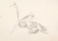 Charlotte Schütze, Fünf Pflanzenstudien und Wiesenstückdarstellungen. Wohl 1940er Jahre, Bleistiftzeichnungen und Aquarell über Bleistift auf gelblichem Papier
