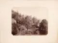 August Kotzsch, Blick in den Park der königlichen Sommerresidenz in Wachwitz, Um 1870-1880, Albuminabzug, vollflächig auf Untersatzkarton kaschiert mit dekorativ geschnittenen Ecken