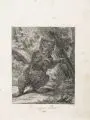 Johann Elias Ridinger, Ein erzürnter Baehr, 1738-1740, Radierung auf Bütten mit roter Schnittverzierung an der re