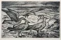 Erhard Hippold, Möwen, 1955, Radierung, Aquatinta und Reservage auf chamoisfarbenem Papier