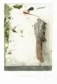Josef Werner, Der Genießer, Farbradierung auf Bütten