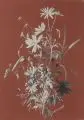 Oskar Schröder, Wiesenblumenstrauß / Mispelzweig, 1894/1895, Gouachen in Weiß- und Grauabstufungen auf grün und braun getöntem Papier