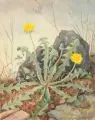 Erich Lindenau, Löwenzahn. Wohl um 1950, Aquarell auf festem Aquarellpapier