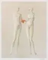 Paul Wunderlich, Adam und Eva, Farblithografie auf "BFK Rives"-Bütten