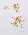Max Ernst, Zu: Lewis Carrolls Wunderhorn, 1970, Farblithografie auf Japan