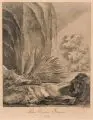 Das Stachel Schwein. by Johann Elias Ridinger, Kupferstichradierung auf kräftigem Papier, offered Mar 2017