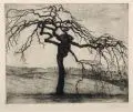 Martin Erich Philipp, Landschaft mit Baum, 1913, Radierung auf kräftigem Papier
