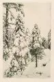 Ferdinand Steininger, Winterlicher Nadelwald, 1914, Farbradierung in Grün auf kräftigem Papier