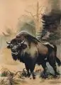 Peter Zimmermann, Bison