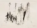 Georg Nerlich, Windbruch