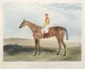 Charles Hunt, Silvio - Winner of the Derby Stakes at Epsom 1877, 1877, Farbaquatinta, koloriert, auf Kupferdruckpapier