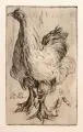 Richard Müller, Huhn