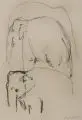 Erich Müller, Acht Tierdarstellungen. Ohne Jahr, Verschiedene Techniken (u.a. farbige Pastellkreide-, Kohlestift-, Bleistift- und Rötelkreidezeichnung)