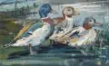 Richard Pusch, Wildenten, 1949, Gouache auf Karton