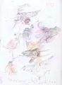 Woldemar Winkler, Geflügelte Fabelwesen, 1991, Farbstiftzeichnung, laviert