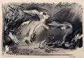 Richard Pusch, Kaninchen, 1954, Kohlestiftzeichnung auf Velin, an den o
