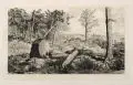 Max Klinger, Simplicius in der Waldeinöde, Um 1881, Radierung auf China, auf Kupferdruckpapier aufgewalzt