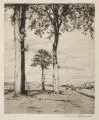 Hermann Kätelhön, Drei Bäume in weiter Landschaft, Um 1915, Radierung mit Tonplatte