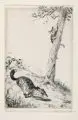 Walther Klemm, Vier Fabelillustrationen. 1. H. 20. Jh