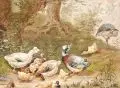 Robert Erbe, Wildenten am Weiher, 1881, Aquarell und Gouache auf Papier