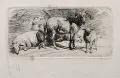 Johann Adam Klein, Ruhende Schafe, Radierungen auf Kupferdruckpapier