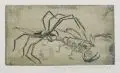 Gussy Hippold-Ahnert, Spinne und Skorpion, 1932, Farbradierung mit Tonplatte
