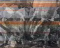 Jean Kirsten, Magnolienblüte in Orange und Grau, 2010, Siebdruck auf Polyester über gebleichter Baumwolle