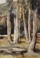 Werner-Hans Schlegel, Waldinneres, Aquarell