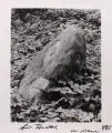 Werner Kirgis, Werner Kirgis, Vergänglichkeit, Wohl 1987, Fotografie auf Barytpapier