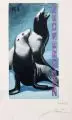 Horst Naumann, Seehunde, Um 1960, Gouache über Blei auf Zeichenpapier