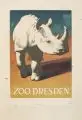 Horst Naumann, Breitmaulnashorn, 1967, Gouache über Blei auf Zeichenpapier