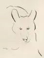 Etha Richter, Bär / Schimpanse / Paviane. Ohne Jahr, Lithographien