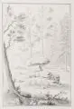 Johann Paul Dietrich, Waldlandschaft mit Felsen, 1790, Bleistiftzeichnung, partiell in Tusche laviert auf "C. & I