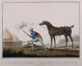 Deuxième suite de Chevaux (Nr. 6) d'après Carle & Horace Vernet by Charles François Gabriel Le Vachez, Um 1800, Schabkunstblatt, koloriert, offered Jun 2014