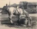 Richard Müller, Pferd an der Tränke vor dem Kloster Altzella