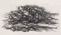 Max Uhlig, Mecklenburgische Landschaft II