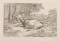 Christoph Nathe, Schlafender Hund, Radierungen auf festem Papier