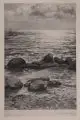Franz August Börner, Ostseestimmung, 1924, Mezzotinto auf Bütten