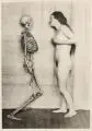 Franz Fiedler, Narre Tod, mein Spielgesell