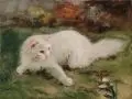 Beno Boleradszky, Weiße Perserkatze und Falter. Ohne Jahr, Öl auf Malpappe